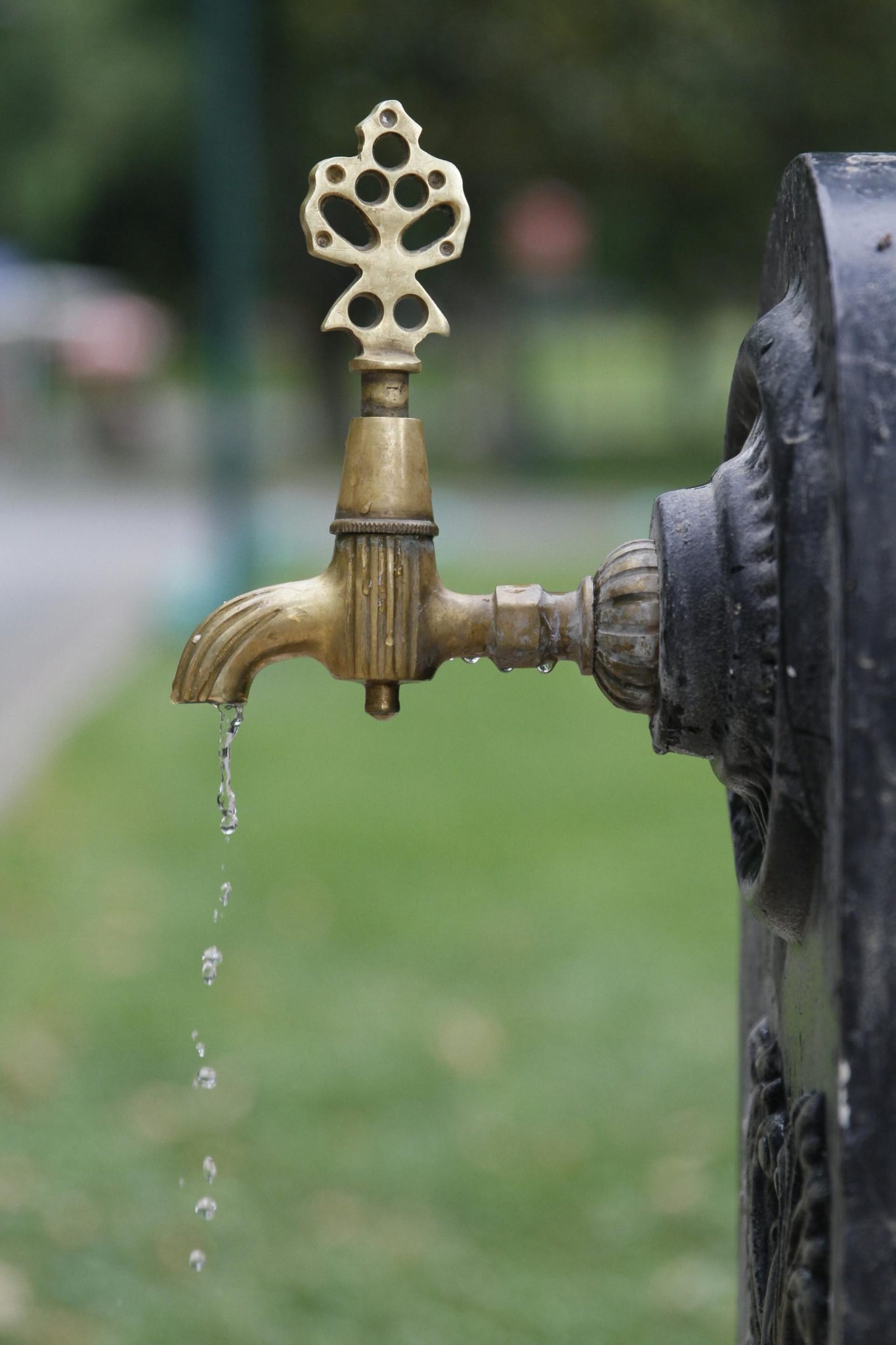 Why Outdoor Plumbing Leaks Increase Water Bills