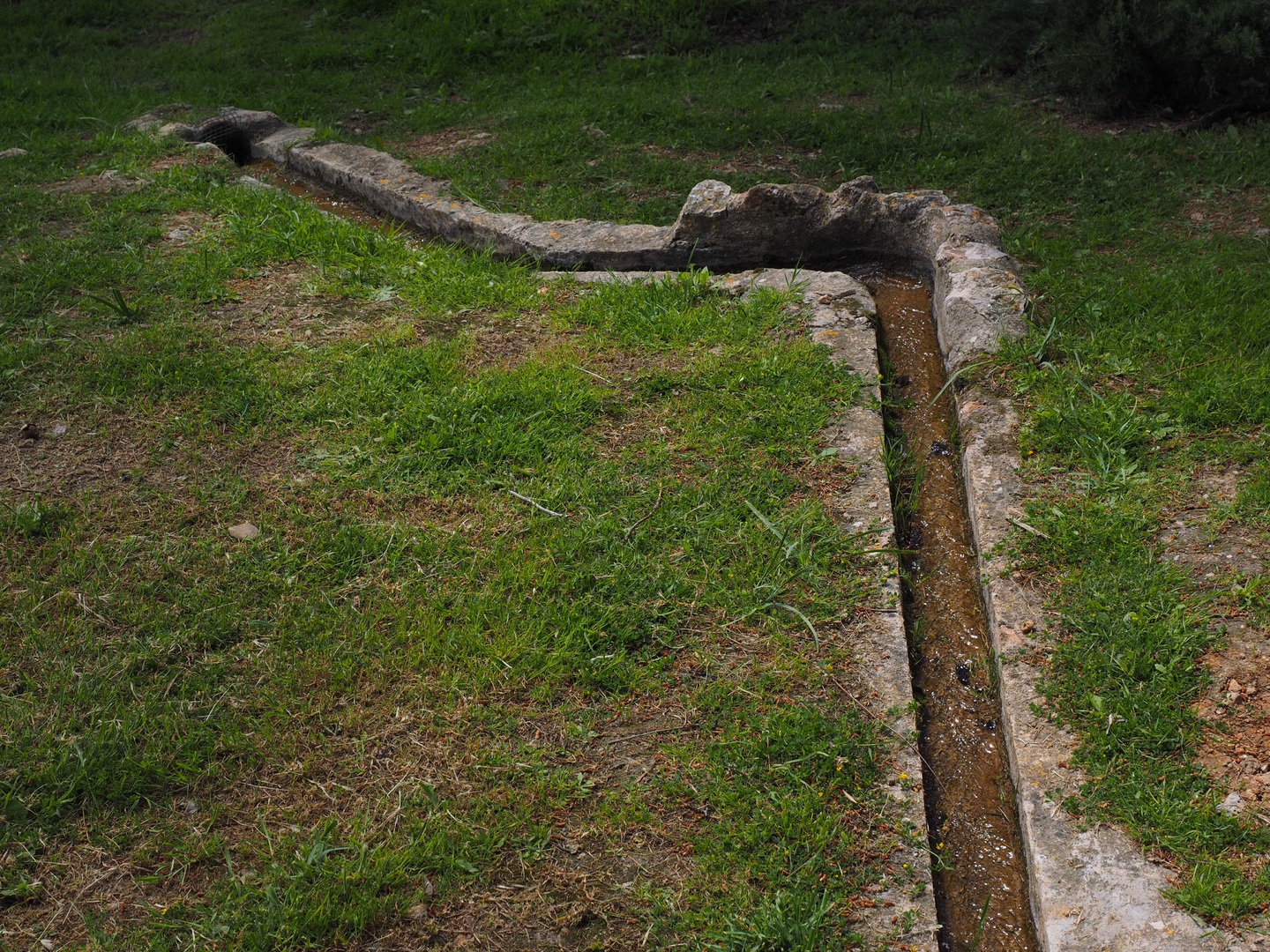 Why Proper Yard Drainage Protects Your Plumbing System