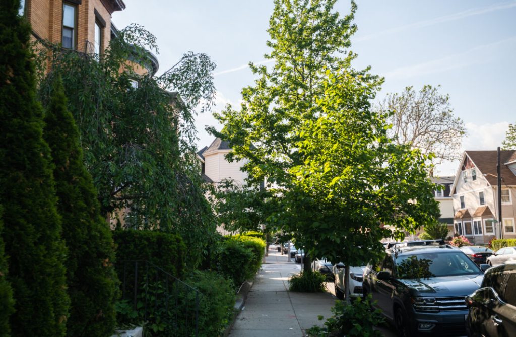 How Exterior Plumbing Systems Help Protect Walkways and Sidewalks