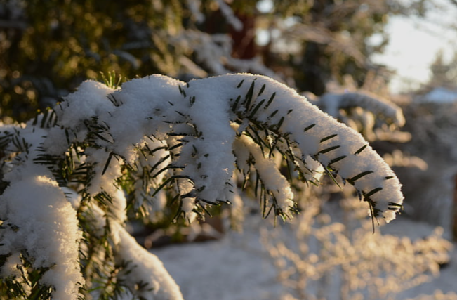How Exterior Plumbing Systems Help Protect Your Home During Montana’s Freeze-Thaw Cycles